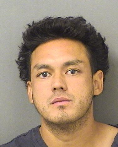  MARIO HERRERAMORALES Results from Palm Beach County Florida for  MARIO HERRERAMORALES