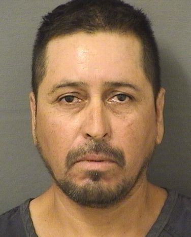  JULIO CESAR MARTINEZMOYA Resultados de la busqueda para Palm Beach County Florida para  JULIO CESAR MARTINEZMOYA