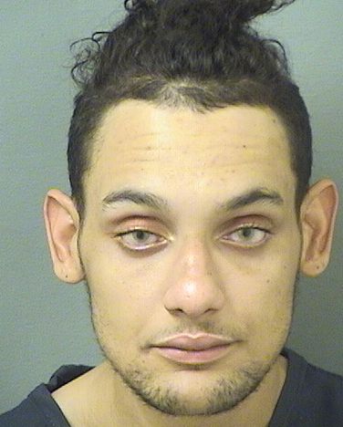  TOMAS XAVIER COLLIER Results from Palm Beach County Florida for  TOMAS XAVIER COLLIER