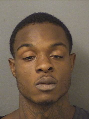  MICHAEL DEWAYNE Jr ROBINSON Results from Palm Beach County Florida for  MICHAEL DEWAYNE Jr ROBINSON