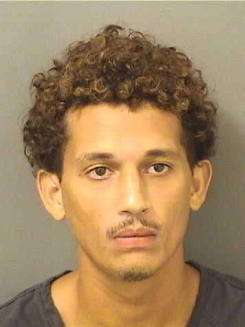  RICARDO JAVIER MARTINEZ Results from Palm Beach County Florida for  RICARDO JAVIER MARTINEZ