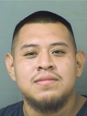  CHRISTIAN MARIANO LUCASMATIAS Results from Palm Beach County Florida for  CHRISTIAN MARIANO LUCASMATIAS