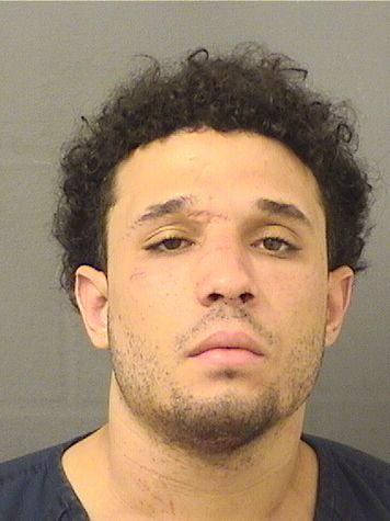  JOSHUA S WASHINGTON Results from Palm Beach County Florida for  JOSHUA S WASHINGTON