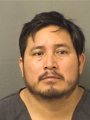 JOSE FELIPEORDONEZ Results from Palm Beach County Florida for  JOSE FELIPEORDONEZ