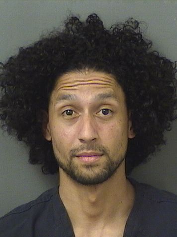  CHRISTIAN CALDERIN Results from Palm Beach County Florida for  CHRISTIAN CALDERIN