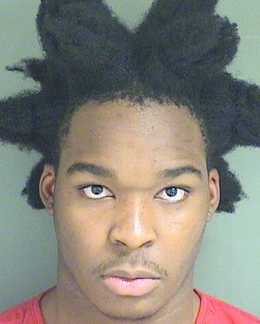  JAMILL DAVON JEANBAPTISTE Results from Palm Beach County Florida for  JAMILL DAVON JEANBAPTISTE