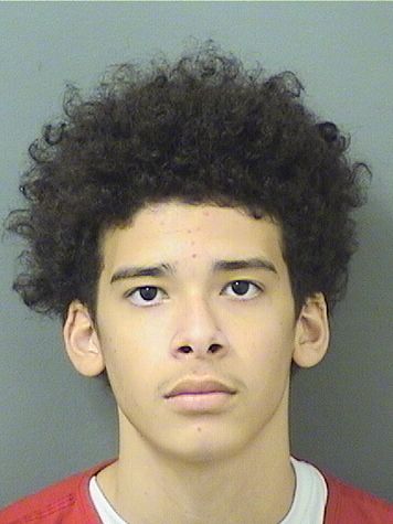  SEBASTIAN ABDUL MILLER Results from Palm Beach County Florida for  SEBASTIAN ABDUL MILLER