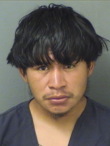  BYRON JOEL FELIPEPEDRO Results from Palm Beach County Florida for  BYRON JOEL FELIPEPEDRO