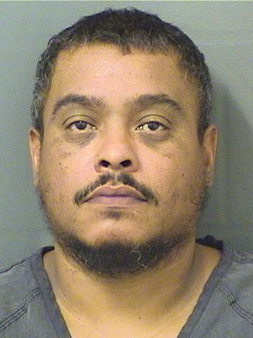  EDWIN DAVILA JR Results from Palm Beach County Florida for  EDWIN DAVILA JR