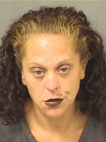  BRITTANY L MINNUCCI Results from Palm Beach County Florida for  BRITTANY L MINNUCCI