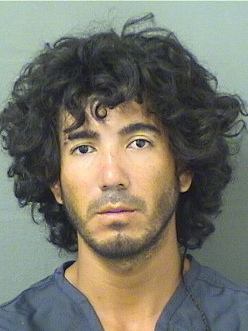  WILIAN ALEXANDER GUILLENARIAS Results from Palm Beach County Florida for  WILIAN ALEXANDER GUILLENARIAS