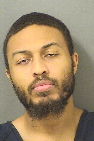  BRANDON MICHAEL DENNIS Results from Palm Beach County Florida for  BRANDON MICHAEL DENNIS