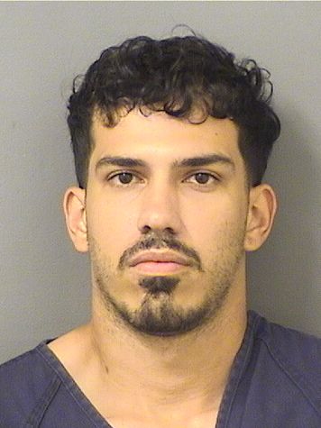  ALESSANDRO BISELLI Results from Palm Beach County Florida for  ALESSANDRO BISELLI