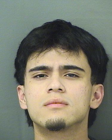  SAMUEL EDUARDO BERMUDEZGARCIA Results from Palm Beach County Florida for  SAMUEL EDUARDO BERMUDEZGARCIA