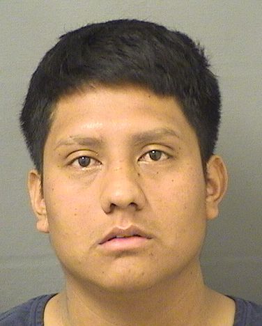  UBALDO GEOVANY RIOSSANTIAGO Results from Palm Beach County Florida for  UBALDO GEOVANY RIOSSANTIAGO