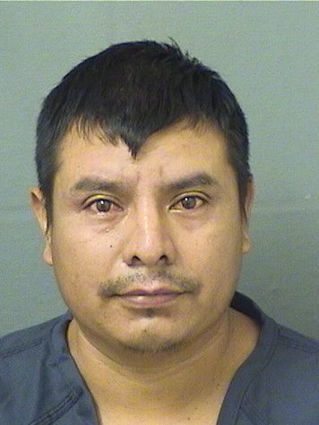  DOMINGO TUMLOPEZ Results from Palm Beach County Florida for  DOMINGO TUMLOPEZ