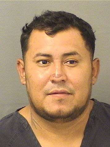  EDGAR IVAN LOPEZSALGUERO Results from Palm Beach County Florida for  EDGAR IVAN LOPEZSALGUERO