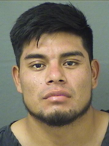  WIDMAN ONESIMO PEREZVELASQUEZ Results from Palm Beach County Florida for  WIDMAN ONESIMO PEREZVELASQUEZ