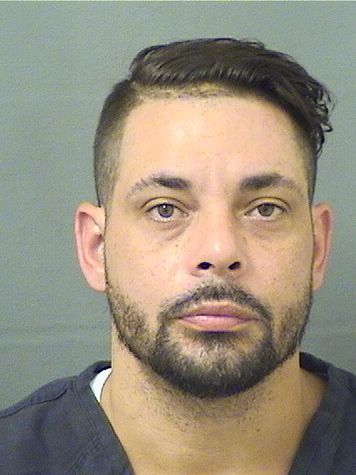 MICHAEL FINAN Results from Palm Beach County Florida for  MICHAEL FINAN