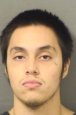  JEAN LUC BRAVO Results from Palm Beach County Florida for  JEAN LUC BRAVO