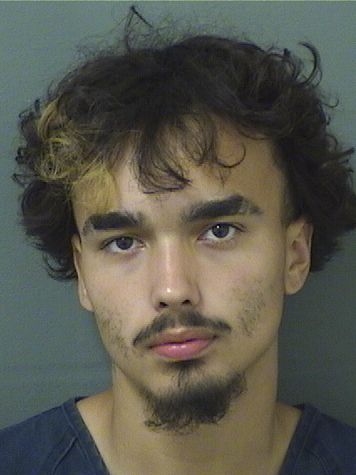  THOMAS PESTANADOMINGUEZ Results from Palm Beach County Florida for  THOMAS PESTANADOMINGUEZ