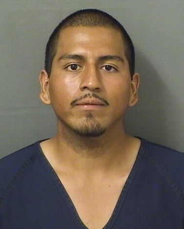  JANCARLOS DAVIDSON VILLANUEVA Results from Palm Beach County Florida for  JANCARLOS DAVIDSON VILLANUEVA