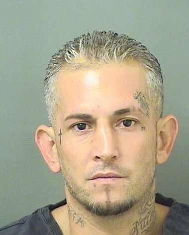 ANGEL RODRIGUEZ GOMEZ Results from Palm Beach County Florida for  ANGEL RODRIGUEZ GOMEZ