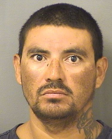  VICTOR ALVARDOARGUETA Results from Palm Beach County Florida for  VICTOR ALVARDOARGUETA