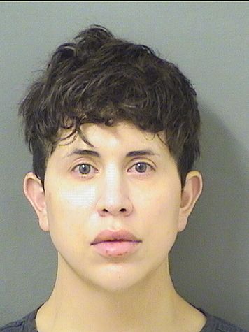  ANDREW SCOTT GARCIA Results from Palm Beach County Florida for  ANDREW SCOTT GARCIA