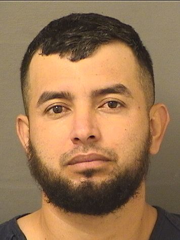  RONY RIVASRIVERA Results from Palm Beach County Florida for  RONY RIVASRIVERA