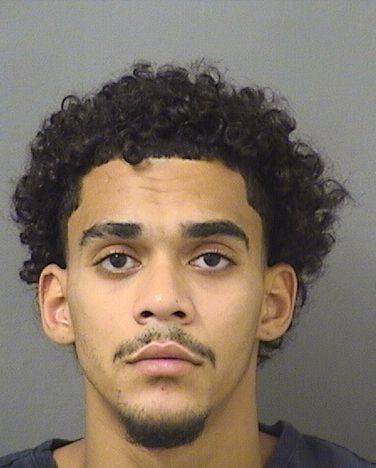  EDWIN YAHEL PEREZCADIZ Results from Palm Beach County Florida for  EDWIN YAHEL PEREZCADIZ