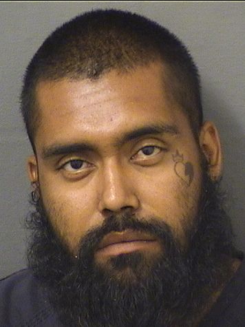  ANTONY YOHAUS RAMOSLOPEZ Results from Palm Beach County Florida for  ANTONY YOHAUS RAMOSLOPEZ