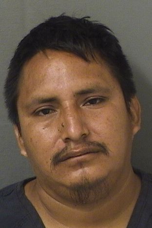  TOMAS FELIXPEREZ Results from Palm Beach County Florida for  TOMAS FELIXPEREZ