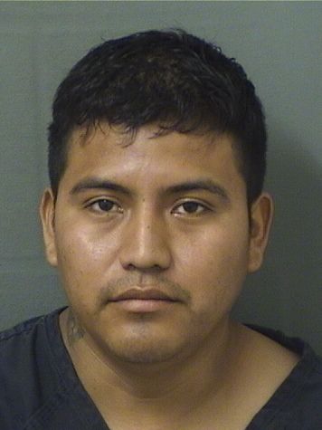  SIMON VASQUEZ LORENZO Results from Palm Beach County Florida for  SIMON VASQUEZ LORENZO