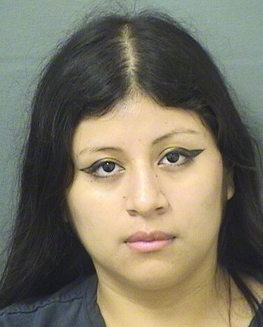  BRITNEY MAGDALENA RAMIREZ Results from Palm Beach County Florida for  BRITNEY MAGDALENA RAMIREZ