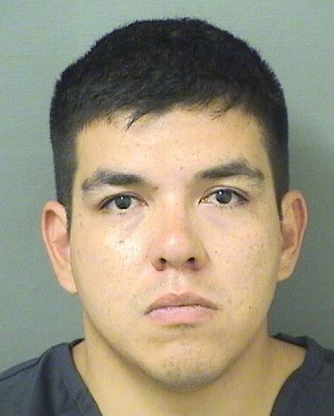  ANDRES CAMILO GALEANO Results from Palm Beach County Florida for  ANDRES CAMILO GALEANO