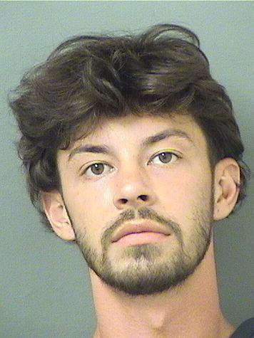  GABRIEL AVI ROSENFELD Results from Palm Beach County Florida for  GABRIEL AVI ROSENFELD