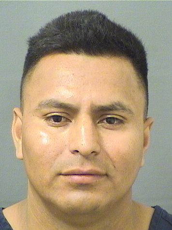  JOSE OMAR SANCHEZVASQUEZ Results from Palm Beach County Florida for  JOSE OMAR SANCHEZVASQUEZ