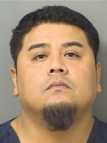  JOSE ALBERTO REYES Results from Palm Beach County Florida for  JOSE ALBERTO REYES
