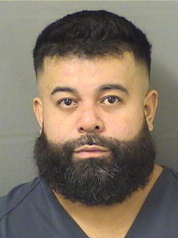  RONALD CAMPOS Results from Palm Beach County Florida for  RONALD CAMPOS