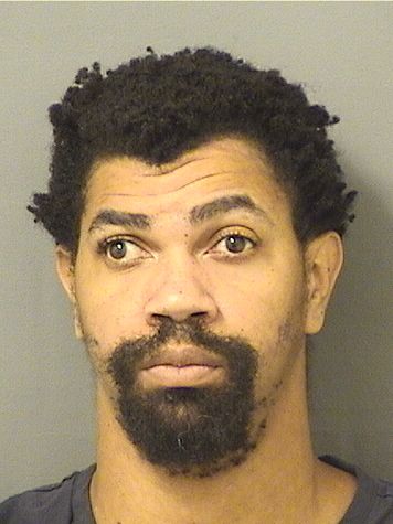  DORIAN LEE HERMENEY Results from Palm Beach County Florida for  DORIAN LEE HERMENEY