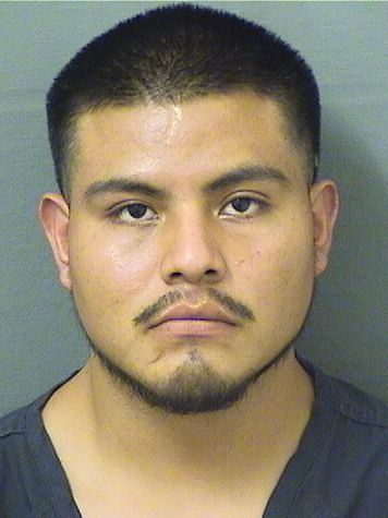  HEYNER PEDROPEDRO Results from Palm Beach County Florida for  HEYNER PEDROPEDRO