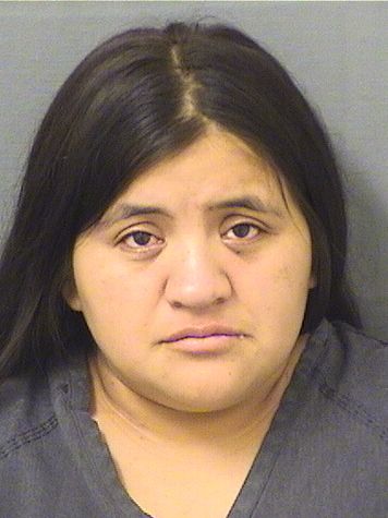  KARINA EUGENIA ROMERO Results from Palm Beach County Florida for  KARINA EUGENIA ROMERO