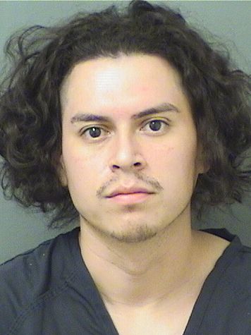  EMERSON LASPINA Results from Palm Beach County Florida for  EMERSON LASPINA