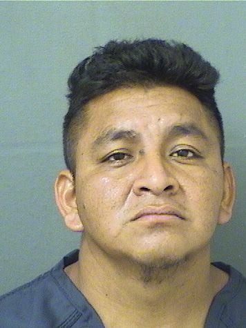  ISAIAS TOMASFRANCISCO Results from Palm Beach County Florida for  ISAIAS TOMASFRANCISCO