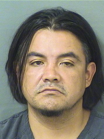  ALAIN ALVAREZ Results from Palm Beach County Florida for  ALAIN ALVAREZ