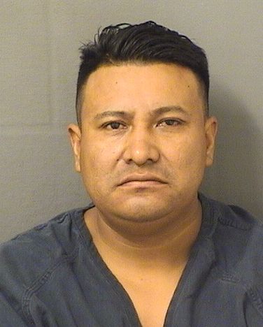  GILBERTO MANUEL PEREZMACARIO Results from Palm Beach County Florida for  GILBERTO MANUEL PEREZMACARIO
