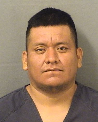  RONALDO VIRBESMATEO Results from Palm Beach County Florida for  RONALDO VIRBESMATEO