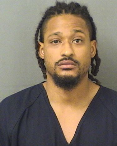  GREGORY GEORGES ROY Results from Palm Beach County Florida for  GREGORY GEORGES ROY