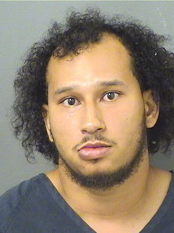  ABRAHAM RUTHMAN Results from Palm Beach County Florida for  ABRAHAM RUTHMAN